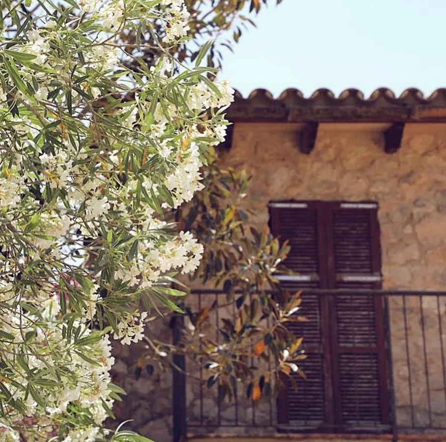 Дом отдыха Finca Ses Eres Арта Испания